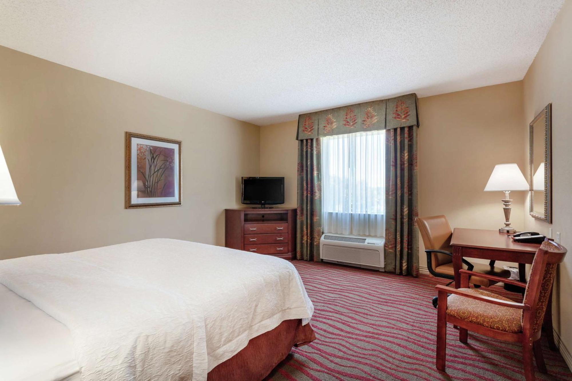Hampton Inn & Suites Port Richey Exteriér fotografie